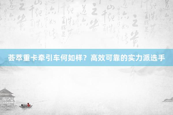 荟萃重卡牵引车何如样？高效可靠的实力派选手